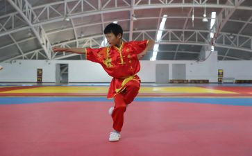 学武术工作总结7篇