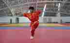 学武术工作总结7篇