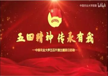 关于五四的作文800字8篇