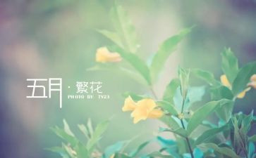 幼儿园五月工作计划优秀7篇