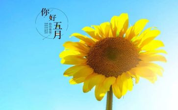 幼儿五月工作计划推荐7篇