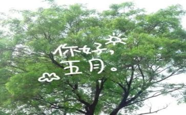 五月份的工作总结5篇
