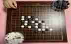 玩五子棋作文300字6篇