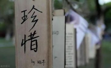 珍惜友情的作文500字7篇