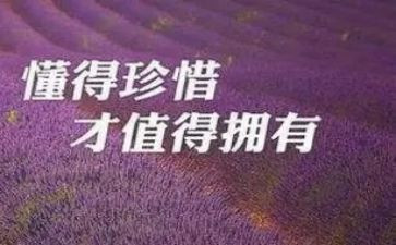 要珍惜青春作文600字5篇