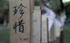 珍惜友情的作文500字7篇