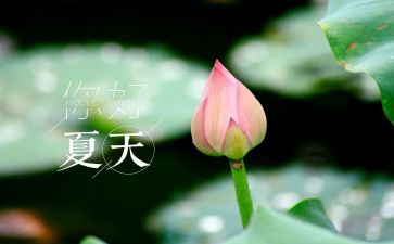 夏天的雨作文600字5篇