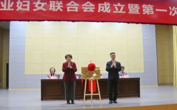乡镇妇联半年工作总结5篇
