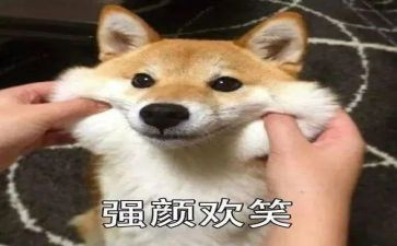 笑对挫折作文最新5篇