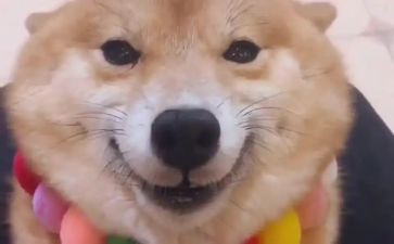 以微笑的力量为主题演讲稿5篇