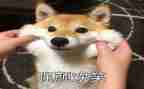 笑,我的年度汉字作文6篇