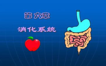消化内科护理工作总结7篇
