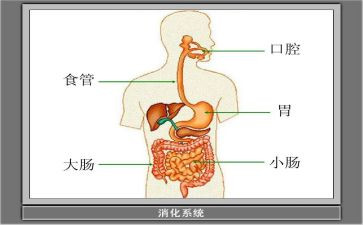消化科个人年终工作总结5篇
