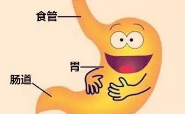 消化内科科年度工作总结5篇