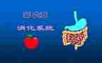 消化内科护理工作总结7篇