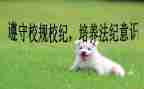 校纪检部工作计划推荐6篇