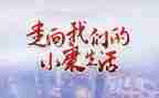 2024年我的小康梦作文通用8篇