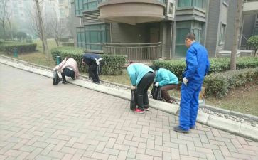 小区保洁月计划8篇