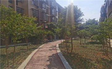 调查小区环境的调查报告8篇
