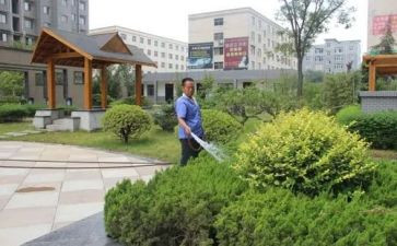 小区物业的工作计划优质5篇