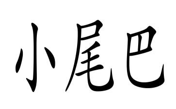 小动物小尾巴教案7篇