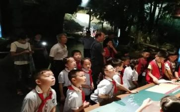 小小解说员作文5篇