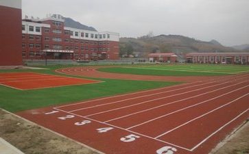 校园活动心得体会范文7篇