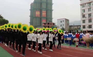 学生会校运动会工作总结6篇
