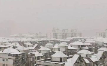 下雪天的作文8篇