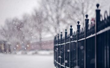 下雪啦的教案优秀7篇