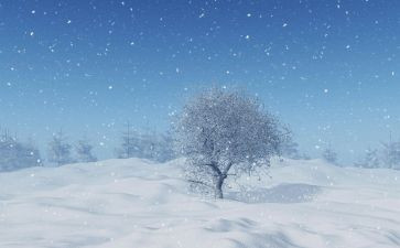 下雪了语言教案5篇