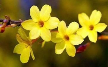 写物作文优秀作文精选7篇