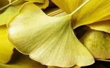 写物作文优秀作文参考7篇