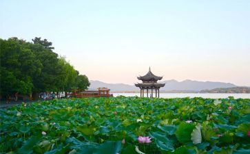 去旅游西湖作文优质7篇