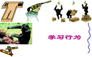 幼儿行为培训心得优秀5篇