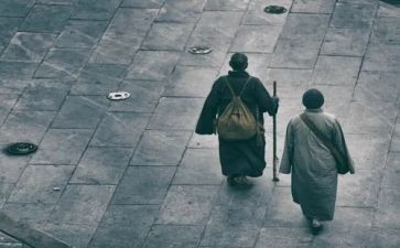 《行者》读后感7篇