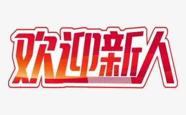 新人训个人总结优质8篇