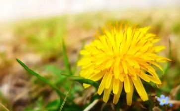 《心声》作文600字6篇