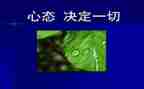 调整心态的心得6篇
