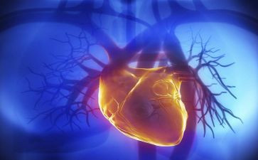 心胸外科护士年终总结6篇