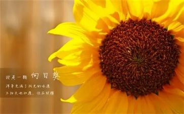 前台新一年工作计划8篇