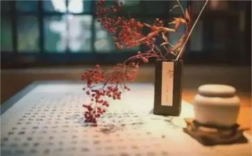 教师的修养演讲稿5篇