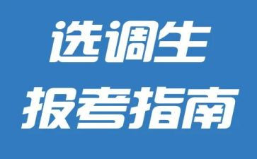 选调生到村工作总结7篇