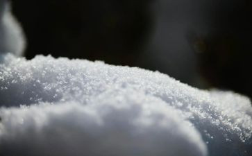 雪作文800字高中作文7篇