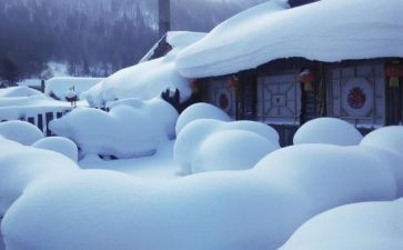 中班雪房子教案8篇