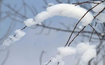 除雪志愿活动心得体会最新8篇