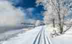 《雪》读后感500字8篇