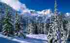关于扫雪的作文5篇