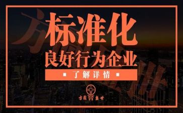 学标准用标准懂标准活动方案8篇