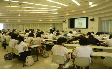 学部门工作总结参考8篇